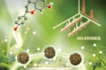 澳科大中藥質量研究國家重點實驗室 在食藥同源中藥研究方面取得重要成果